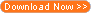 From tactical to strategic: Transforming government's chief human capital officer