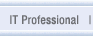 IT Professional