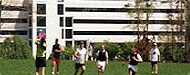 Employees enjoy playing ultimate frisbee on SAS campus during lunch break