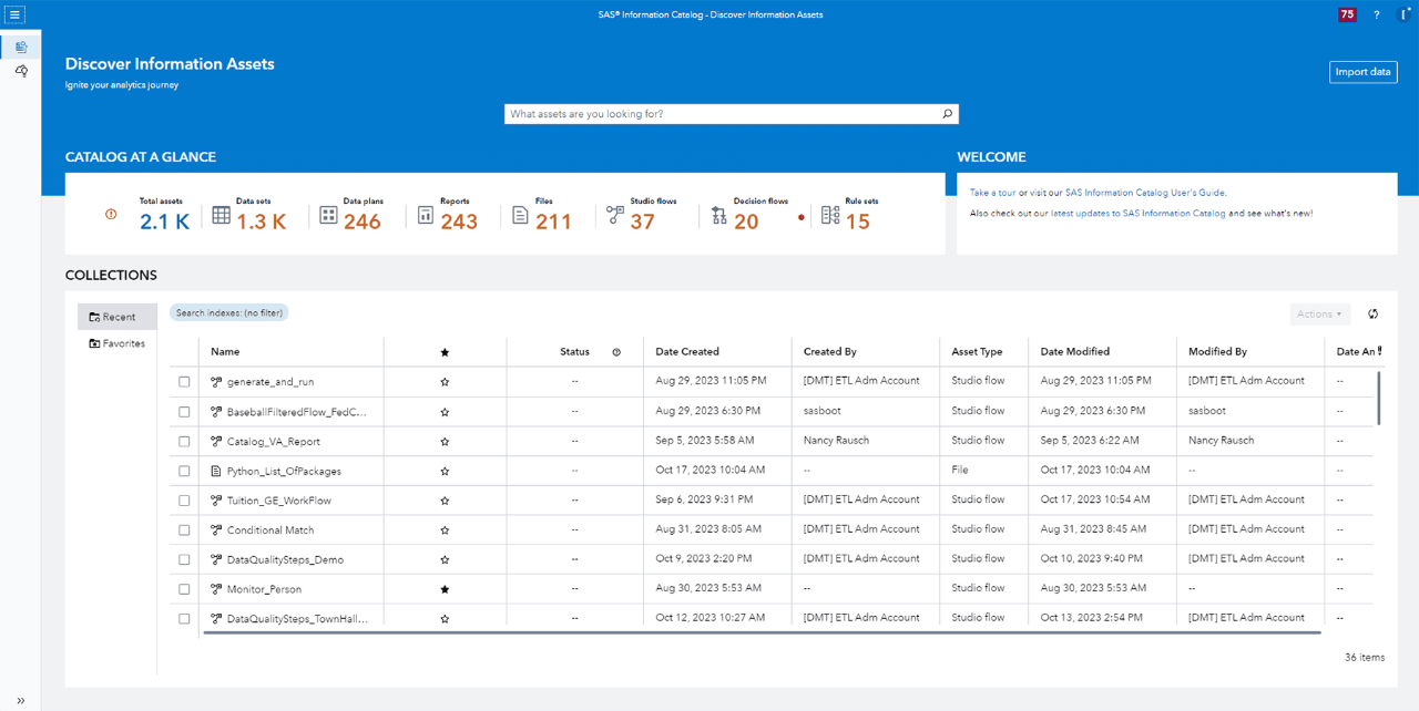 Screenshot showing SAS Information Governance Discovery Information