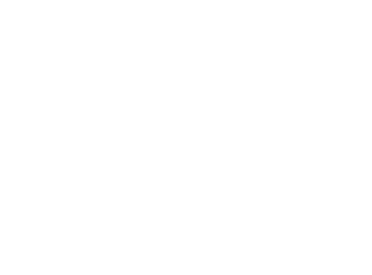 Cheetah population infographic