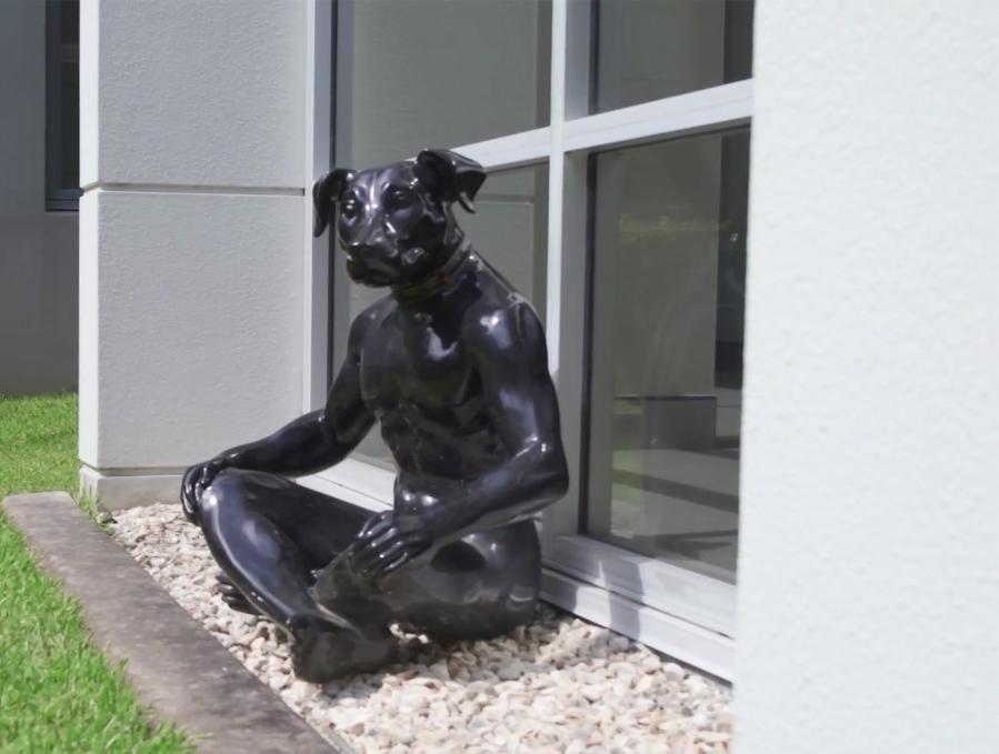 Black Dog Institute Statue