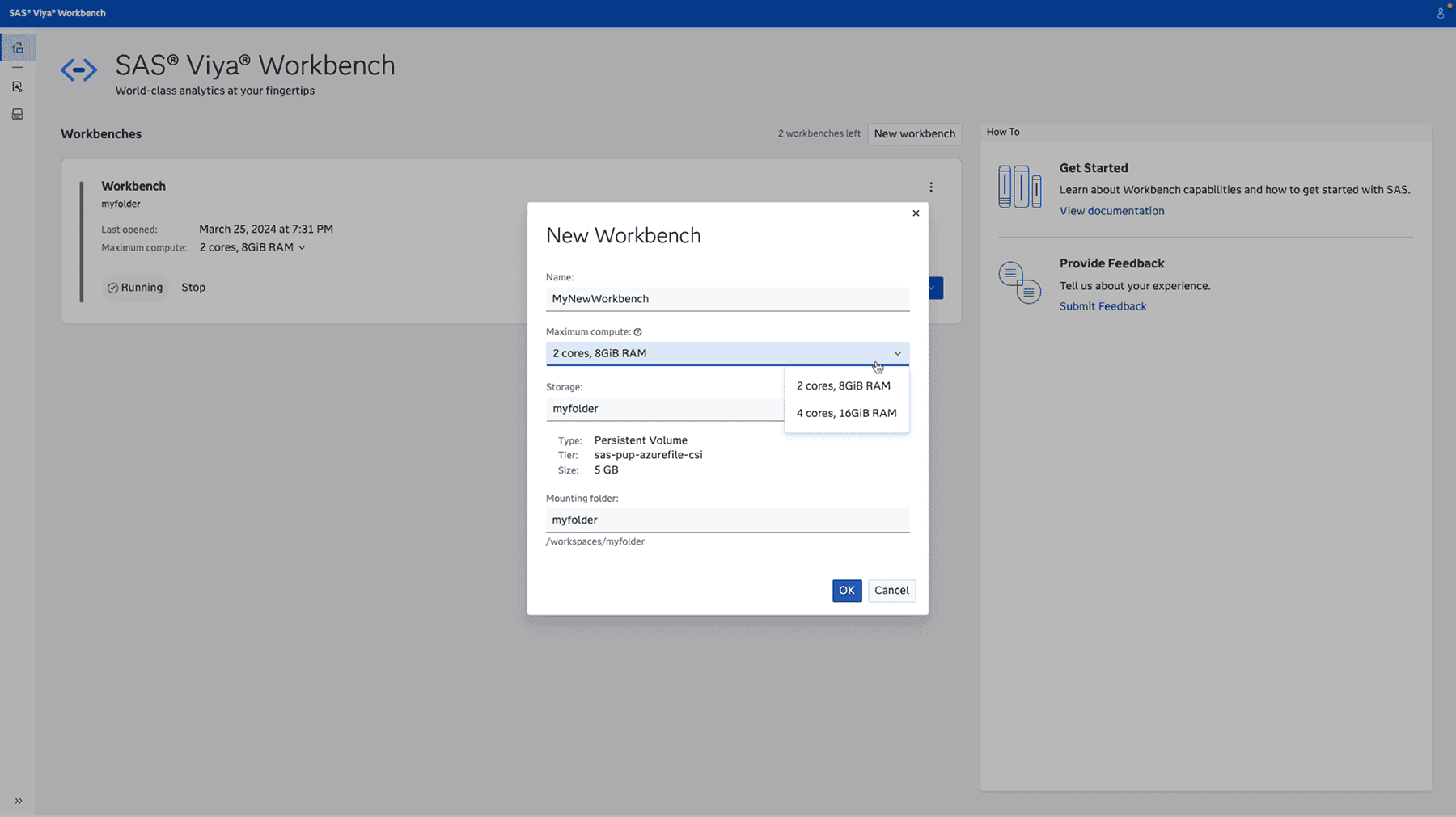 SAS Viya Workbench customization efficiency screenshot