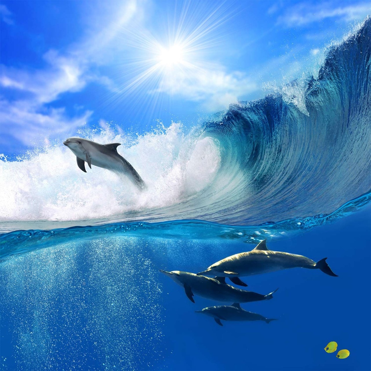  A flock of playful dolphins swimming in the sea