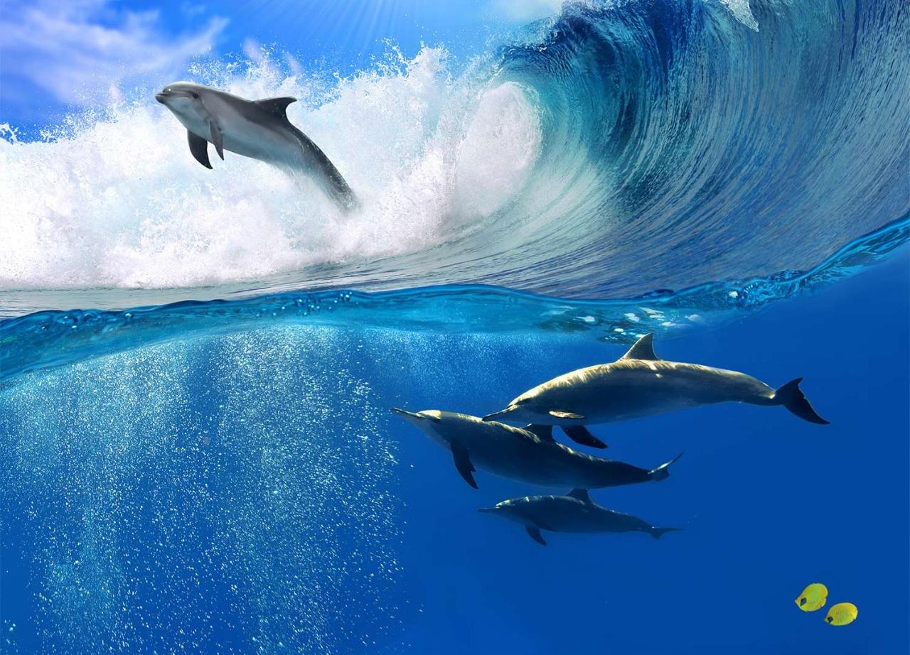  A flock of playful dolphins swimming in the sea