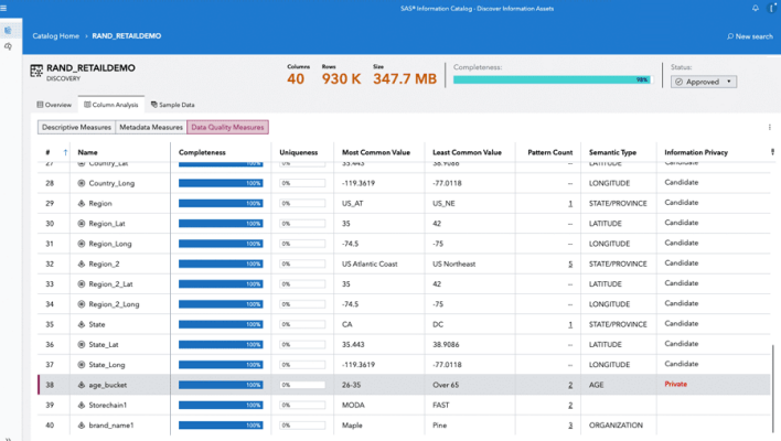 Screenshot zeigt den SAS Datenzugriff und die Integration