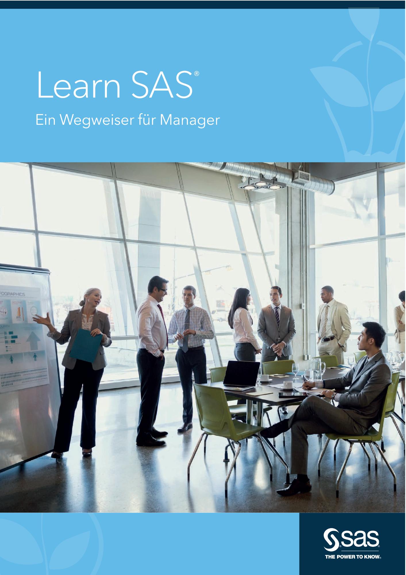 Learn SAS - Ein Wegweiser für Manager