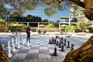 SAS HQ Outdoor Chess Board
