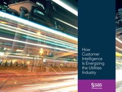 How Customer Intelligence Is Energizing the Utilities Industry