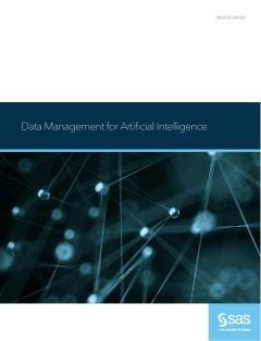 Data Management for Artificial Intelligence