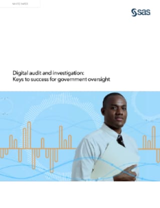 Digital audit and investigation: Keys to success for government oversight