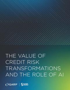 The Value of Credit Risk Transformations and the Role of AI
