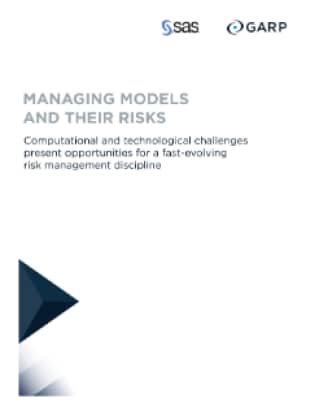 Managing Models and Their Risks