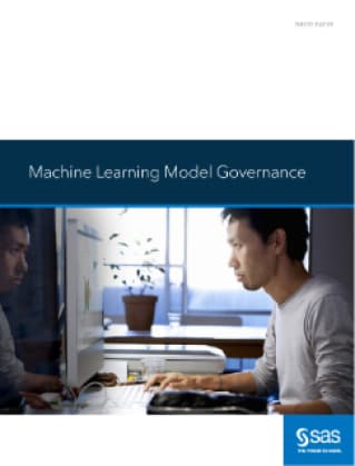 Machine Learning Model Governance