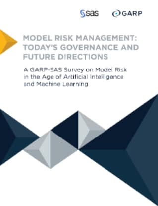 Model Risk Management: Today's Governance and Future Directions