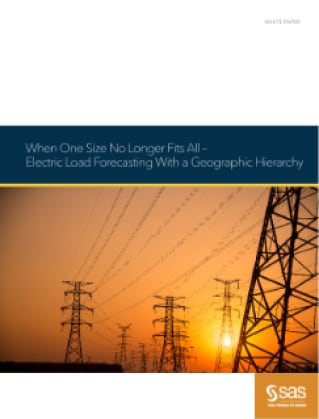 When One Size No Longer Fits All - Electric Load Forecasting with a Geographic Hierarchy