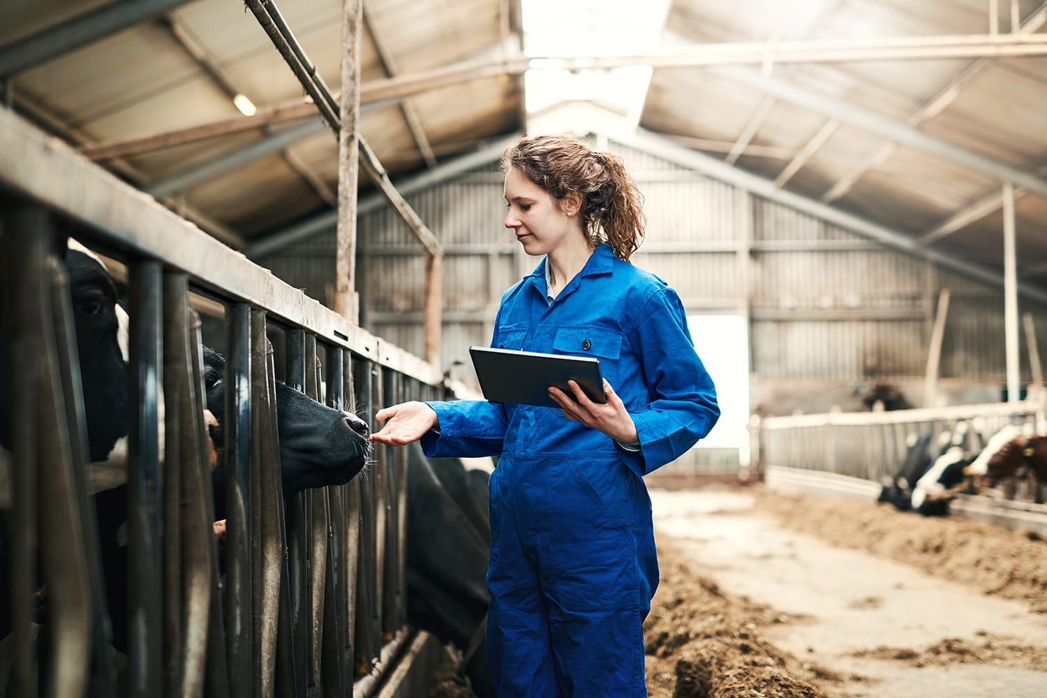 Female dairy farmer with laptop