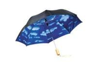 sasmas-umbrella