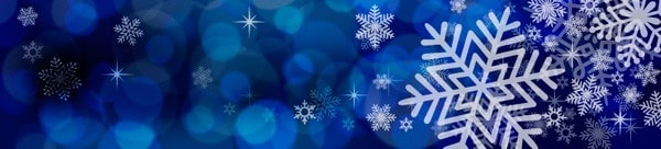 Holiday Email banner