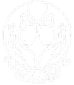 Andy Irons Foundation Logo