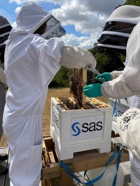 SAS UK Beekeeprs