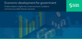 Economic Development for Government