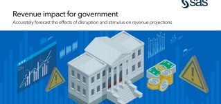 Revenue Impact for Government