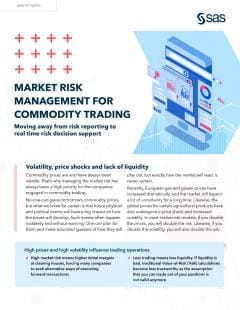 Market Risk Management for Commodity Trading