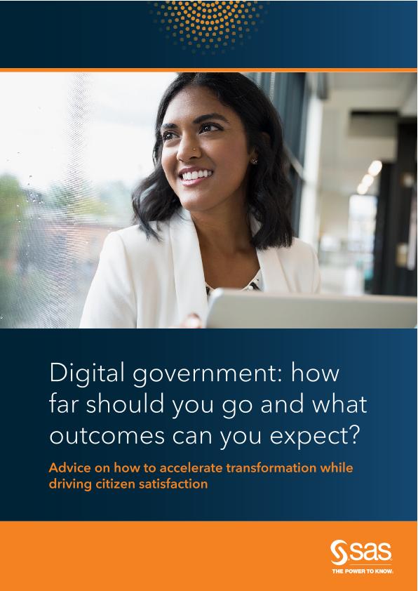 Digital government: how far should you go and what outcomes can you expect