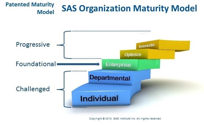 sas-organization-maturity-model