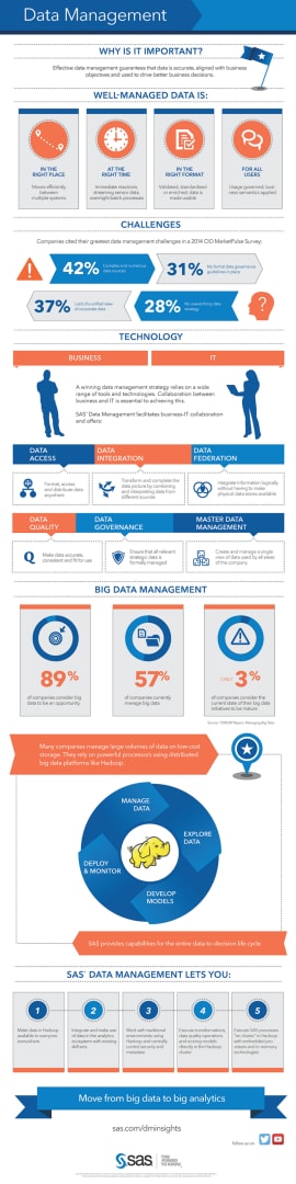 Data Management Infographic