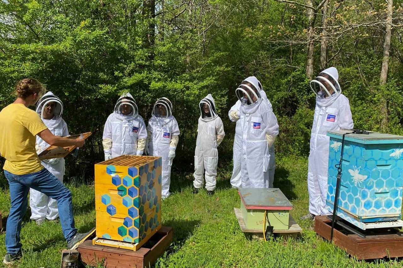 SAS employees on bee hive tour