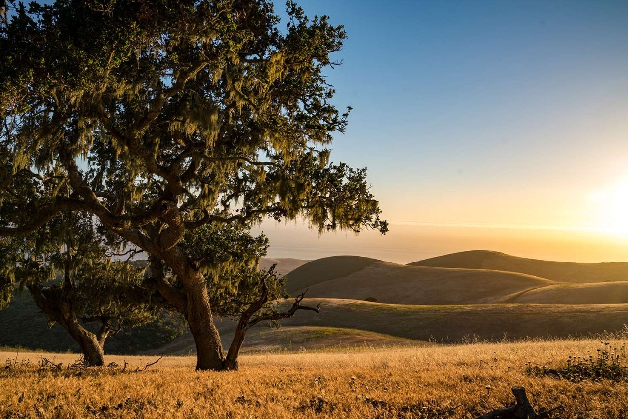 The Nature Conservancy Hills