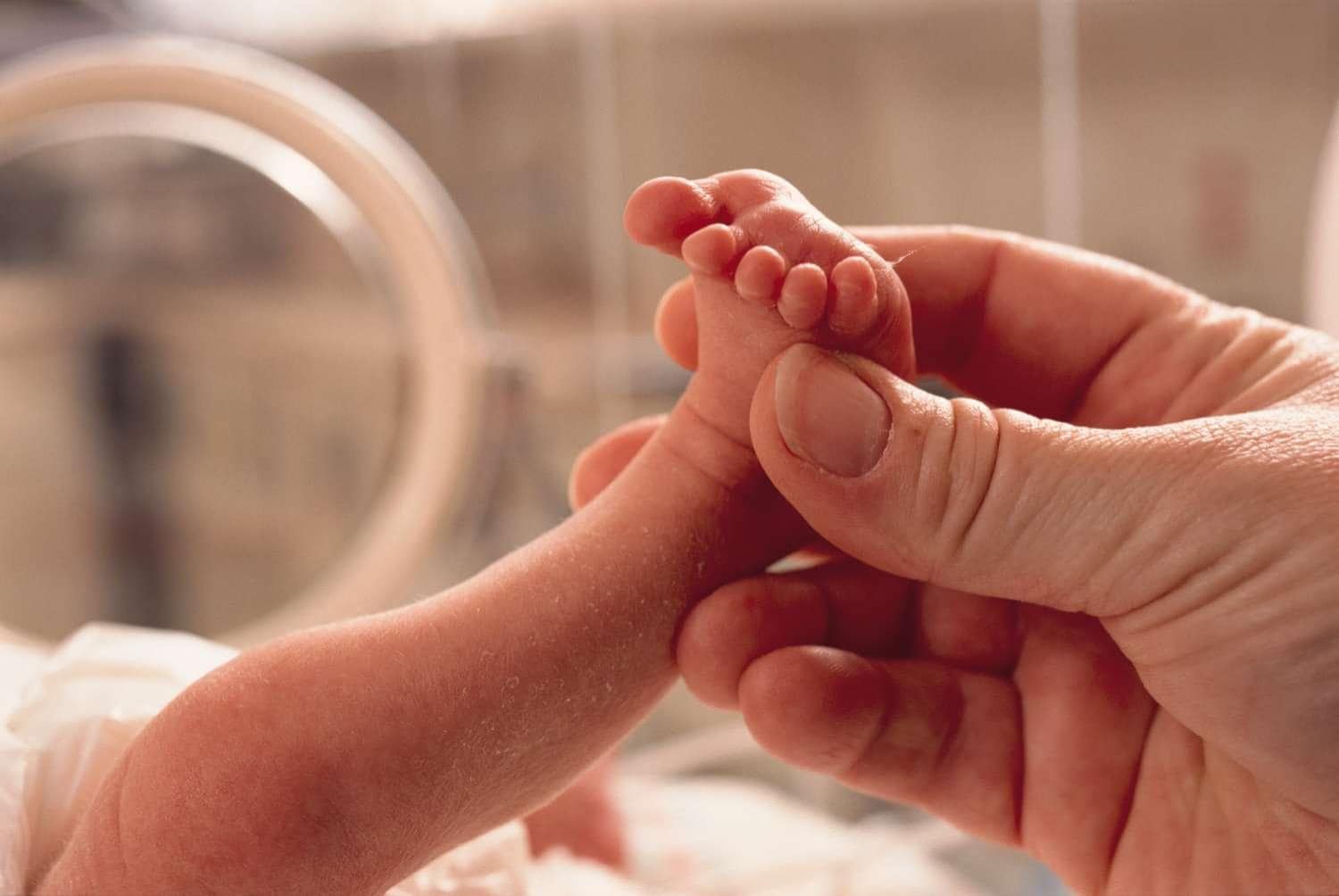 Adult hand holding infant foot
