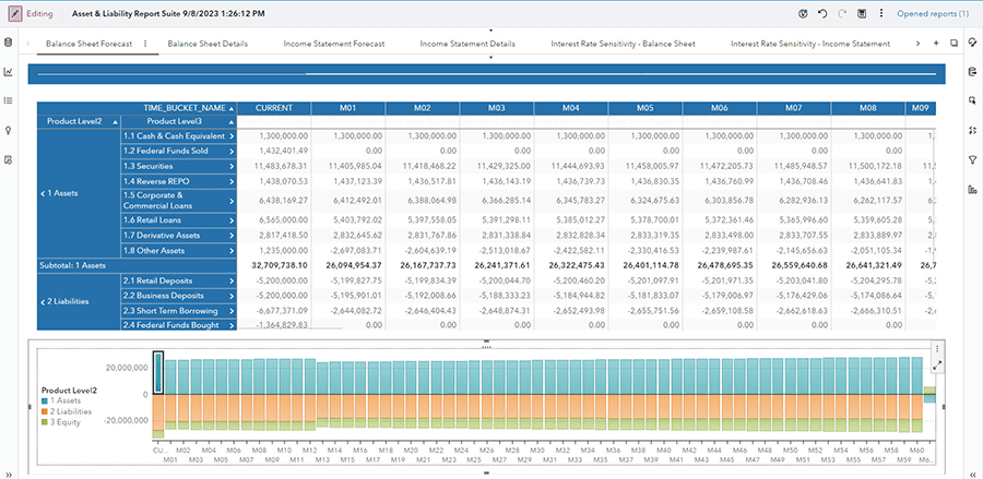SAS Asset and Liability Management dashboard report shown on desktop monitor