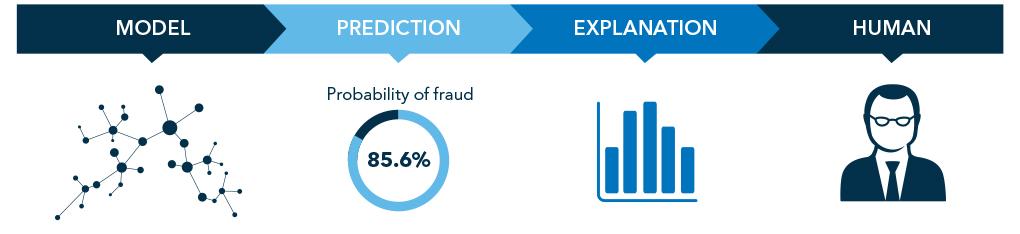 Fraud machine learning process