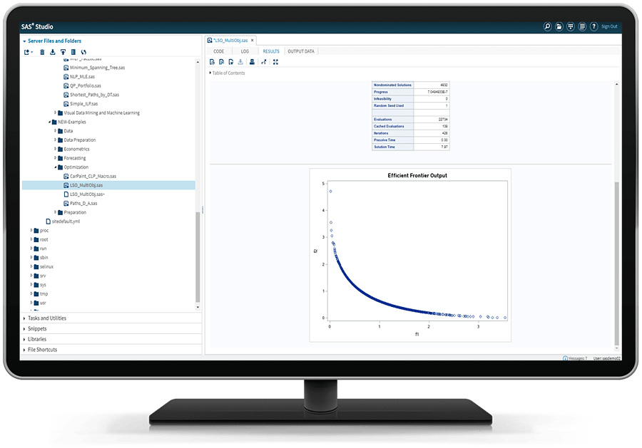SAS Optimization shown on desktop monitor
