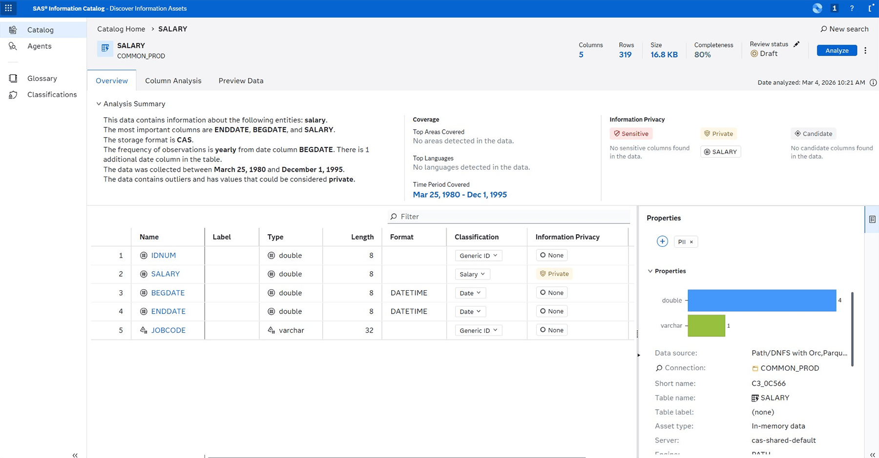 SAS Information Governance enterprise grade screenshot