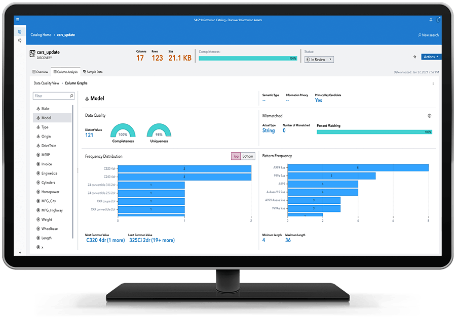 SAS Information Governance shown on desktop monitor SAS Information Governance shown on desktop monitor