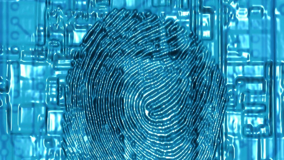Watch the webinar: Fingerprints in Your Data
