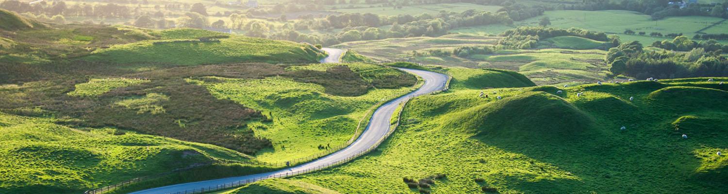 Windy road through grass fields