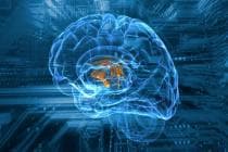 brain scan on blue chipset background