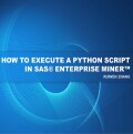 How to execute a Python script in SAS® Enterprise Miner