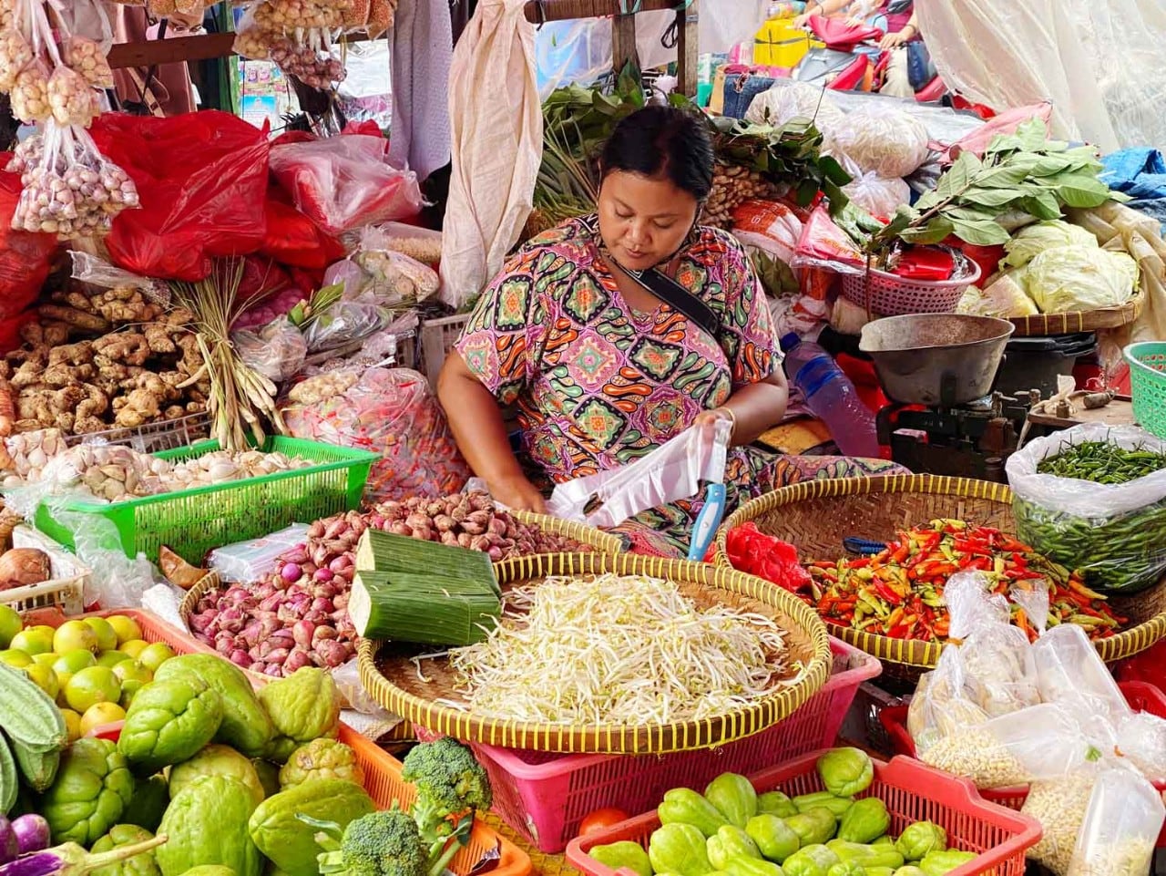 Woman in Jakarta Market