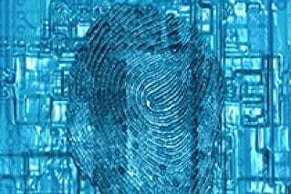 Fraud Fingerprints in Your Data