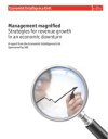 Management Magnified