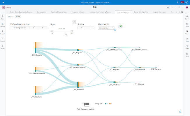 SAS Visual Analytics screenshot