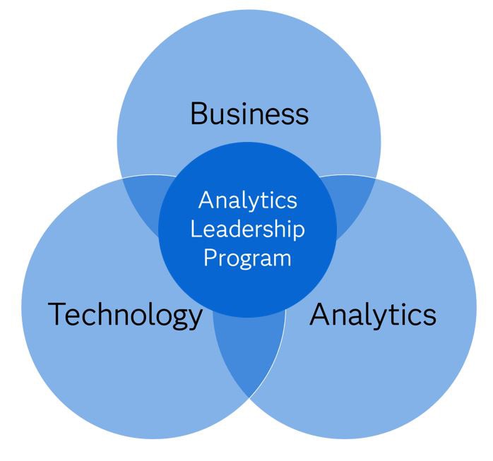Analytics Leadership Program Structure
