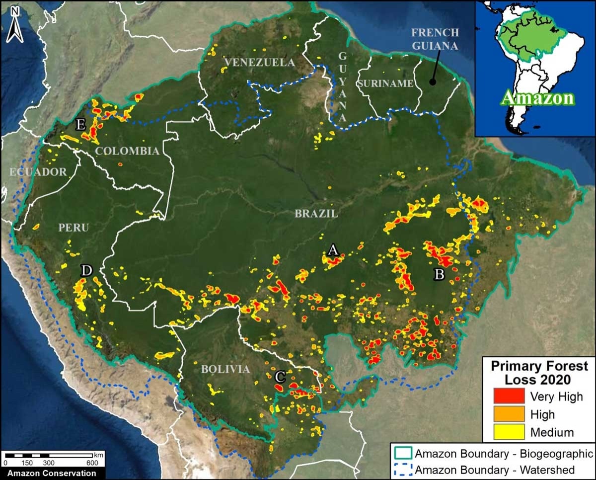 amazon rainforest loss map