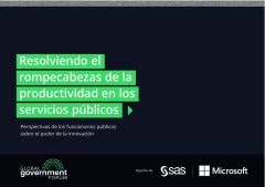 Solving the public services productivity puzzle - Global Government Forum - Spanish